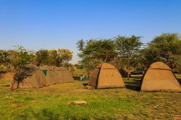 4 days tanzania camping safari
