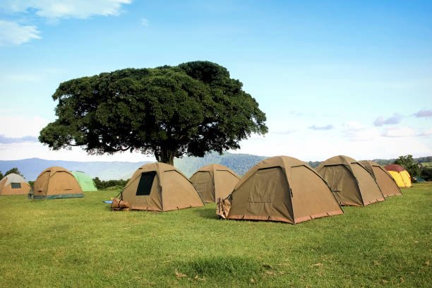 5 days tanzania camping safari