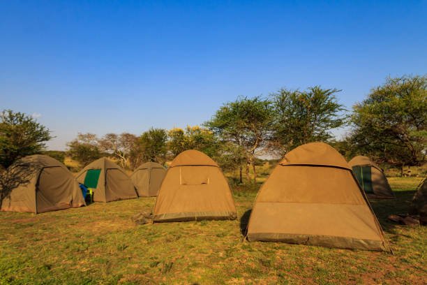 6 days tanzania camping safari
