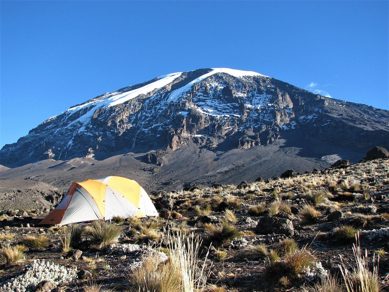 lemosho route 7 days kilimanjaro